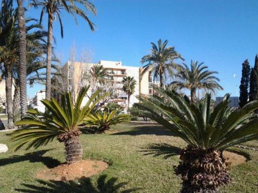 Primera línea en Playa Sur. Plaza Constitución Peñíscola Exterior foto